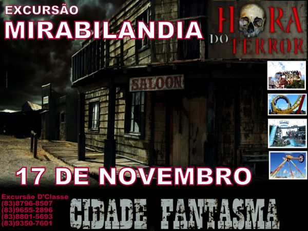 Excursão Mirabilandia